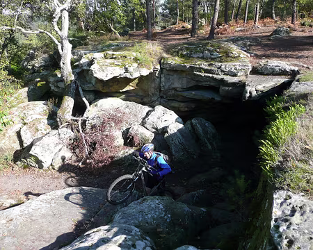 2008_10_19_VTT_FONTAINEBLEAU_pic31