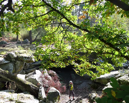 2008_10_19_VTT_FONTAINEBLEAU_pic35