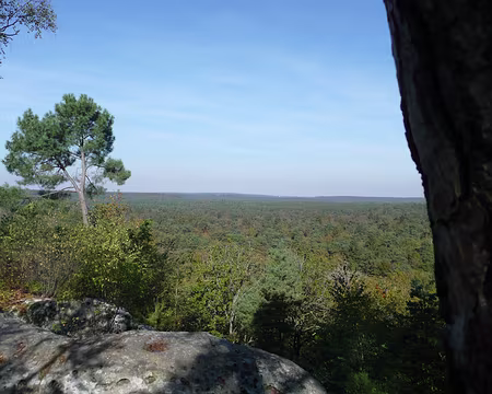 2008_10_19_VTT_FONTAINEBLEAU_pic37