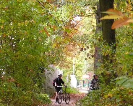 2008_10_05_VTT_ROBINSON_pic01