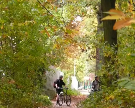 2008_10_05_VTT_ROBINSON_pic01