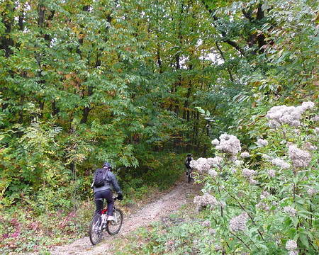 2008_10_05_VTT_ROBINSON_pic04
