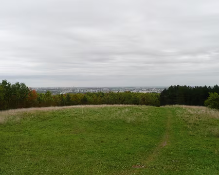 2008_10_05_VTT_ROBINSON_pic07