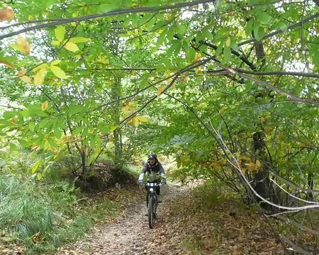 2008_10_05_VTT_ROBINSON_pic11