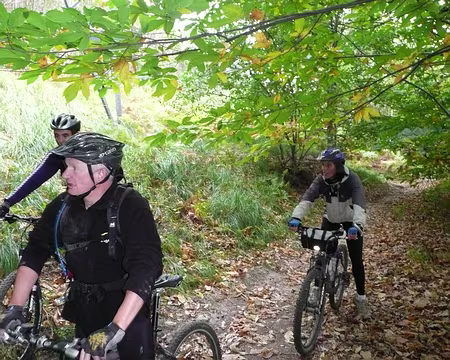 2008_10_05_VTT_ROBINSON_pic12