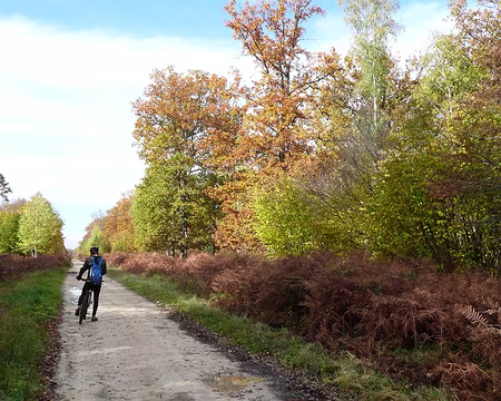 2008_11_02_VTT_CHANTILLY_pic10