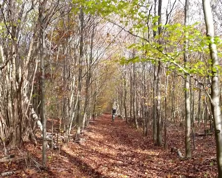 2008_11_02_VTT_CHANTILLY_pic11