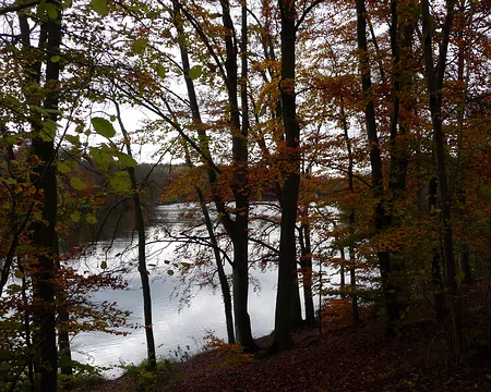 2008_11_02_VTT_CHANTILLY_pic14