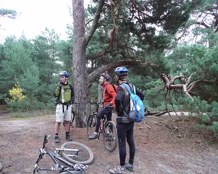 2008_16_02_VTT_CHANTILLY_pic04