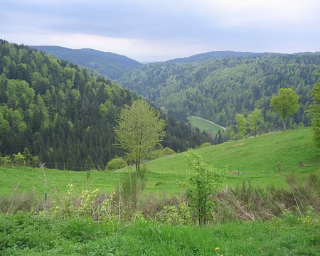 04 Relief bien valloné