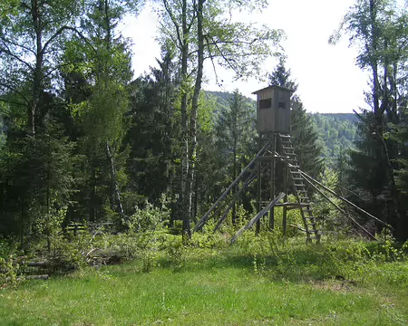 11 Pour la chasse
