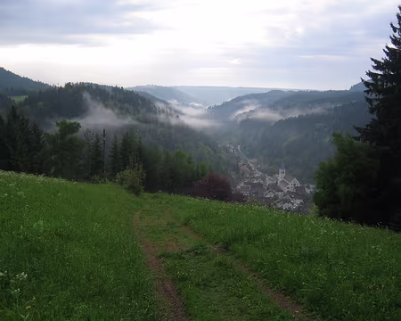 12 La brume suite aux averses de la nuit