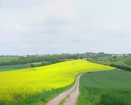 PXL013 l'horizon du vttiste...au 35ème kilomètre