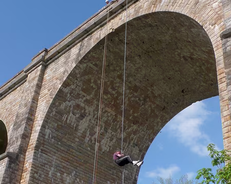 PXL016 coucou suisse... normand