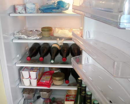 P5080012 Le frigo est quasi vide