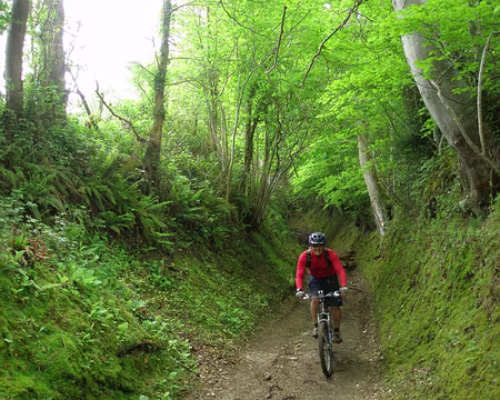 P5090121 Pendant ce temps