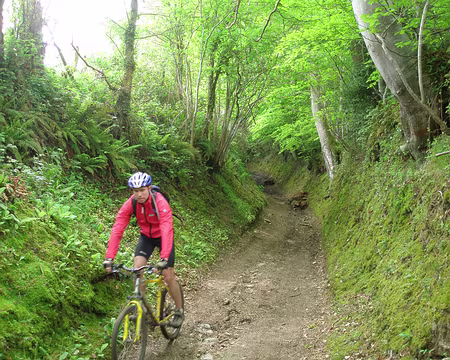 P5090122 les VTTistes roulent