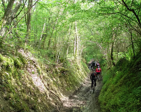 P5090148 Un tout petit peu de gadoue au fond des chemins (très) creux