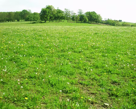 P5090151 Cela me rappelle le boulot, pourquoi donc ?