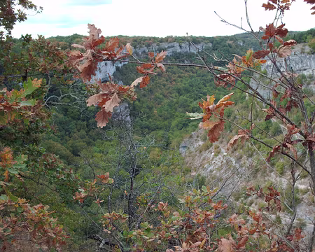 PXL108 C'est déjà l'automne ??? Ou bien la sécheresse ?