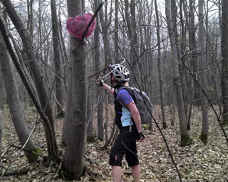 09 Tatyana a trouvé un coeur à prendre, mais peut-êre d'autres l'auraient pris avant elle... dans d'autres circonstances ?