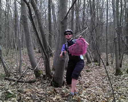 10 Gros coup de coeur