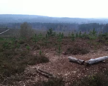 21 Vue sur la partie nord de la forêt de Rambouillet