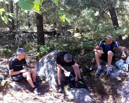 img_0249 pique-nique à l'ombre des arbres bien installés