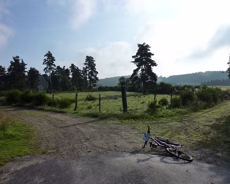 P1010558 Beau croisement