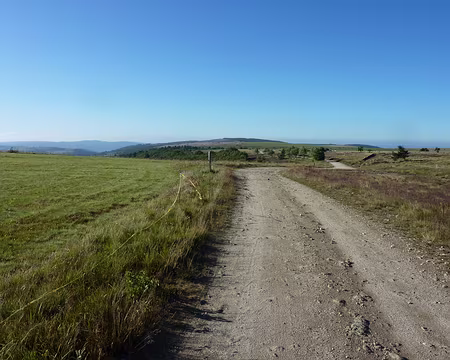 P1010578 Les Monts du Forez