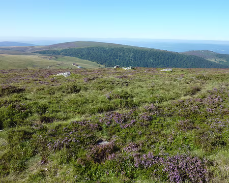 P1010582 Les Monts du Forez