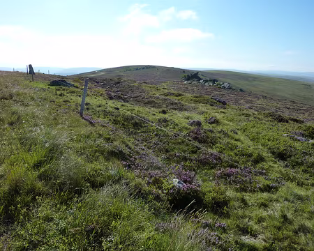 P1010583 Les Monts du Forez