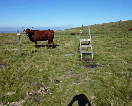 P1010586 Pas rassurant