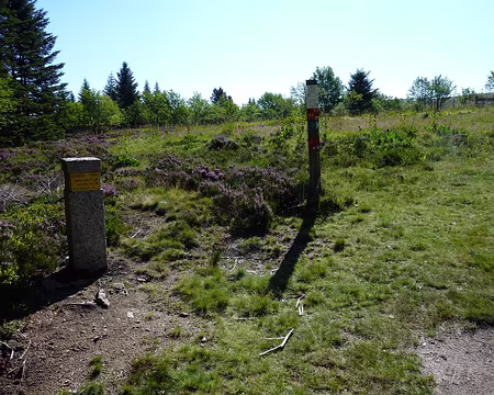P1010587 Vers le col de la Loge