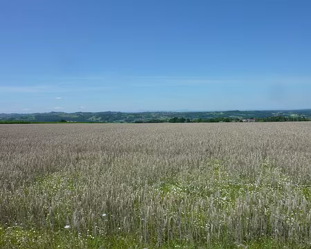 P1010588 Vue sur le Massif Central