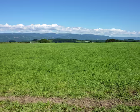 P1010594 Vue sur les Monts du Forez