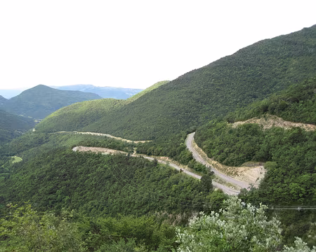 IMG_0144 (1) Montée au col de Rousset