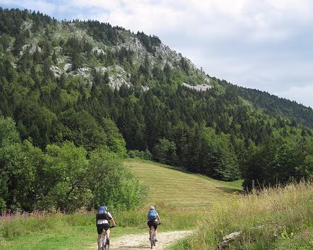 IMG_0199 (1) Herbouilly