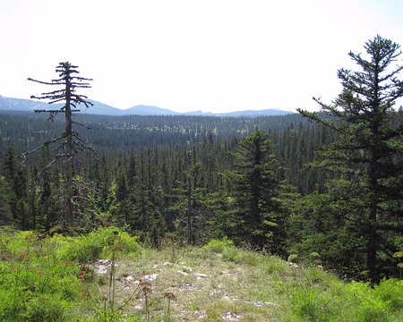 IMG_0202 (1) Le haut plateau du Vercors