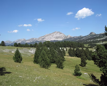 IMG_0205 (1) Le Grand Veymont.