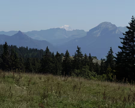 1020401 Vue de la Molière sur le Mt Blanc