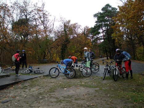 2008-11 Fontainebleau