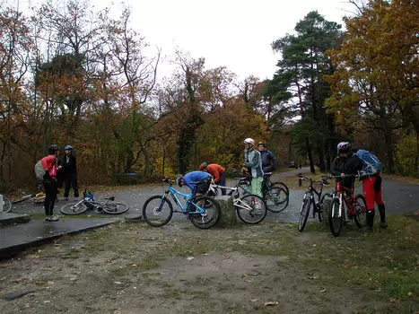 2008-11 Fontainebleau