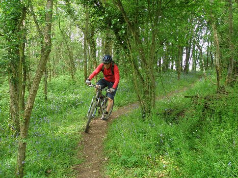 2009-05 Suisse normande détail de la sortie