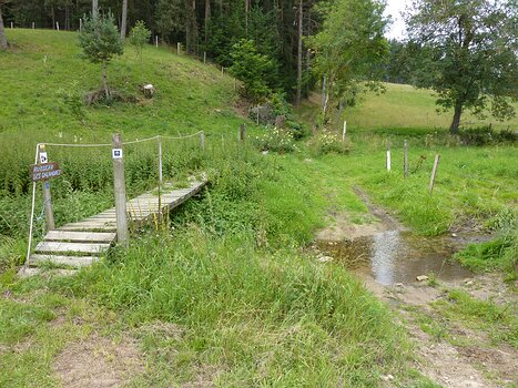 2011-07 Tour du Livradois - Forez