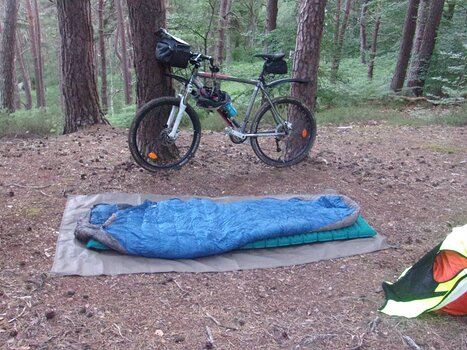 2020-06 Rambouillet Pascal B, détail sortie