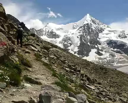 PXL022 Val d'Anniviers, dans la montée au refuge du Mountet vue sur l'Obergabelhorn