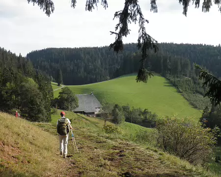 PXL192 entre Furtwangen et Kalteherberge, nous avons pris des sentiers détournés pour ne pas longer l'autoroute