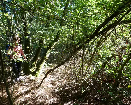 PXL008 Un ptit hors sentier épineux ...
