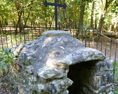 PXL025 Après l'église : la fontaine St Mathurin bien cachée au fond des bois